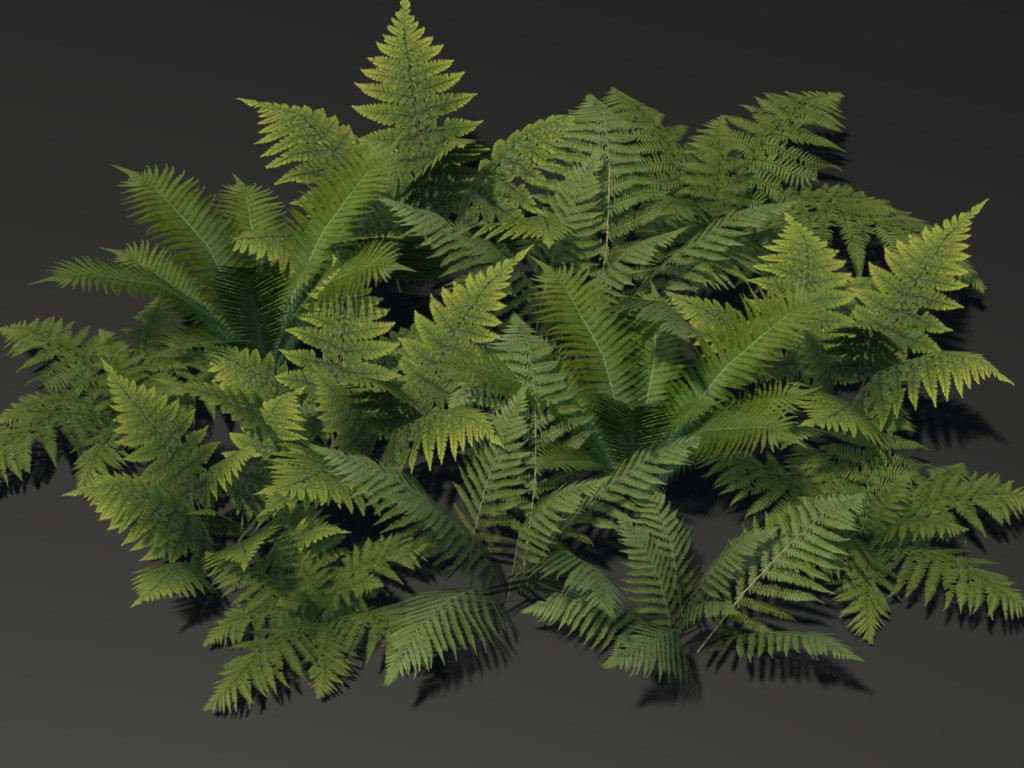 Low Poly Fern Models preview image 1